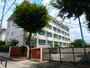 小学校　葛飾区立細田小学校（小学校）まで344m