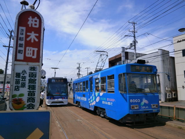 その他　市電柏木電停（その他）まで150m