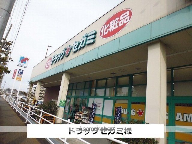 その他　ドラッグセガミ（その他）まで550m