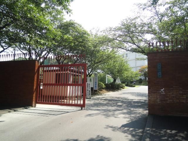 その他　日本文化大学（その他）まで744m