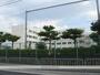 中学校　高槻市立城南中学校（中学校）まで405m