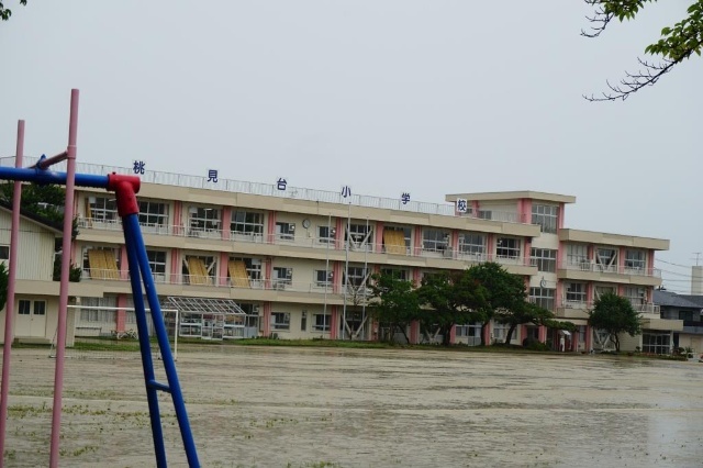 小学校　郡山市立桃見台小学校（小学校）まで522m
