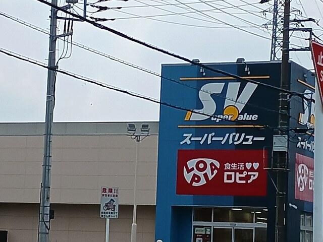 その他　スーパーバリュー（その他）まで1110m