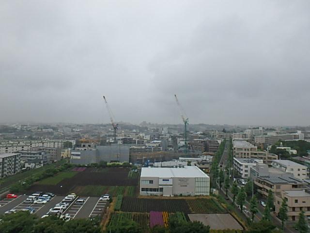 東急田園都市線 宮崎台駅 徒歩4分 14階建 築11年のその他写真
