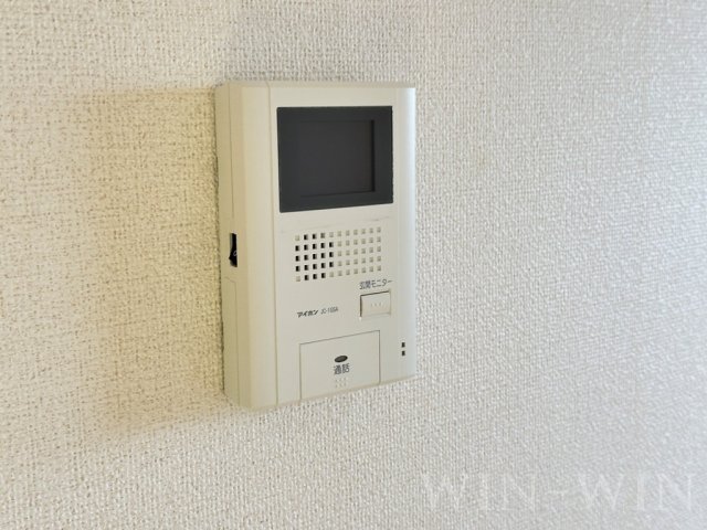 ブルーベリーのその他写真