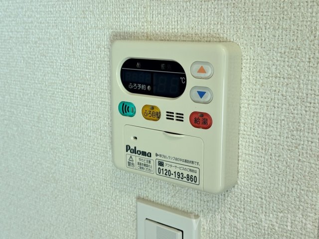 ブルーベリーのその他写真