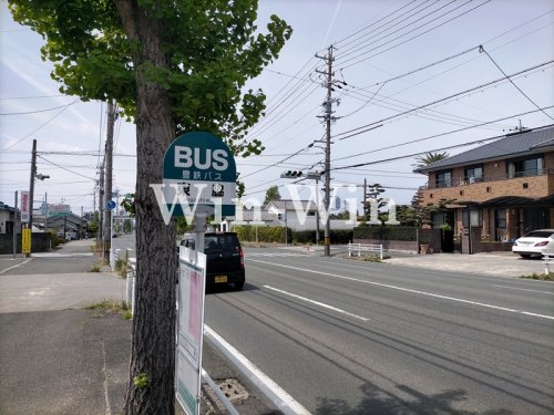 ブルーベリーの周辺写真
