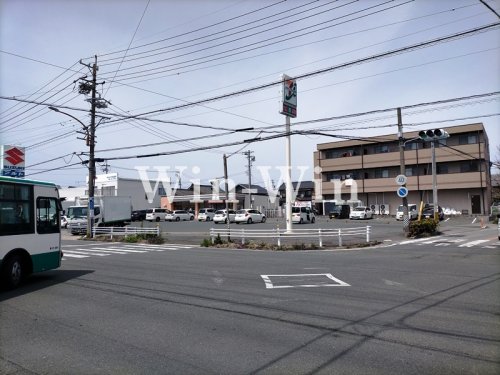 ブルーベリーの周辺写真