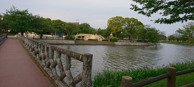 公園　乙戸沼公園（公園）まで270m