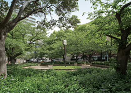 公園　堀江公園（公園）まで500m