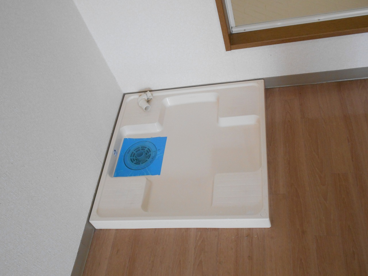 エンゼルのその他写真