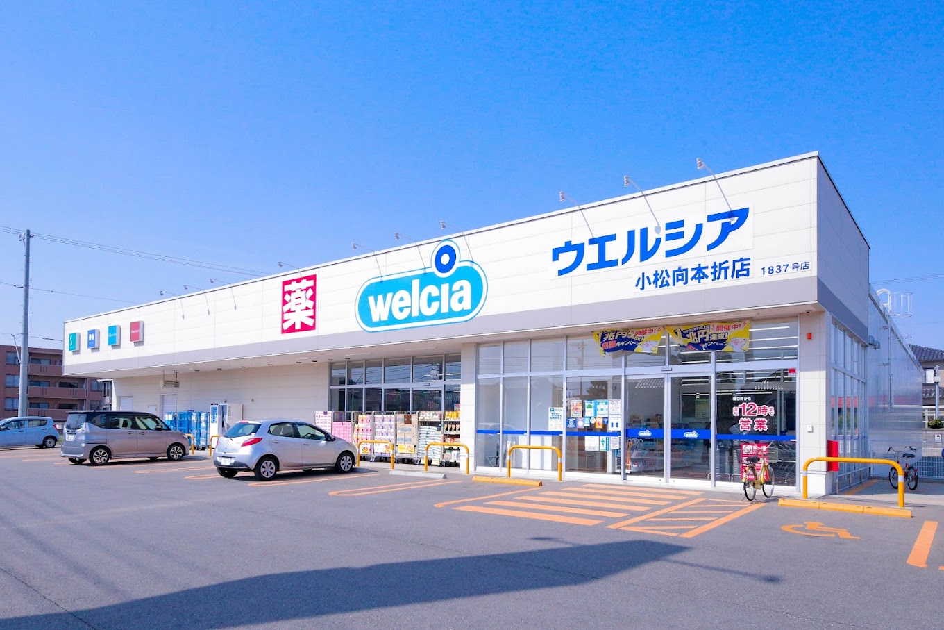 ドラックストア　ウエルシア小松向本折店（ドラッグストア）まで700m