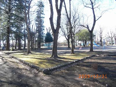 公園　昭和公園（公園）まで272m
