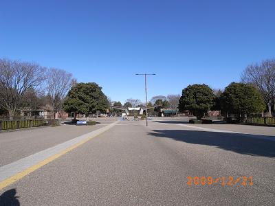 公園　国営昭和記念公園（公園）まで4111m