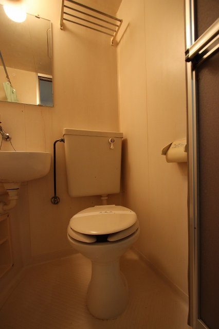 トイレ　同物件別号室の写真