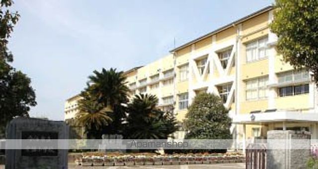 小学校　常盤小学校（小学校）まで583m