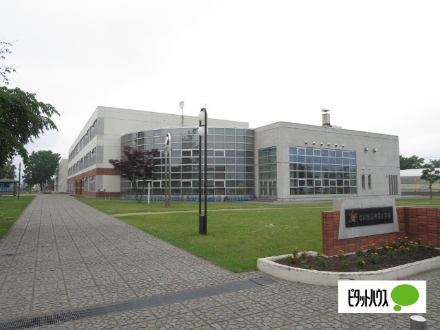 小学校　旭川市立神居小学校（小学校）まで791m