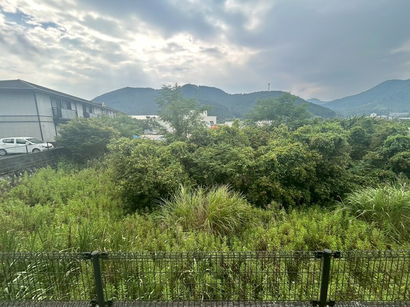 眺望