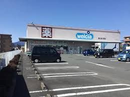 ドラックストア　ウエルシア富士宮小泉店（ドラッグストア）まで783m