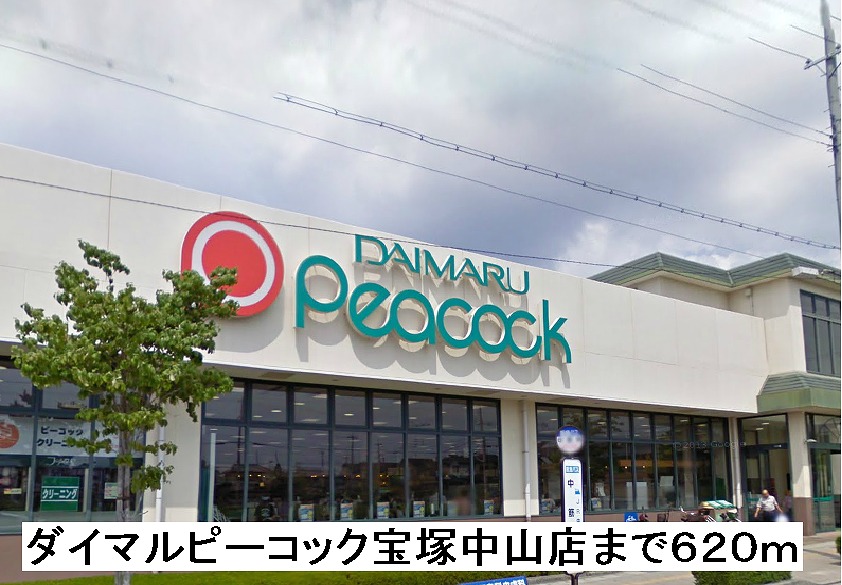 その他　スーパー ダイマルピーコックまで620m