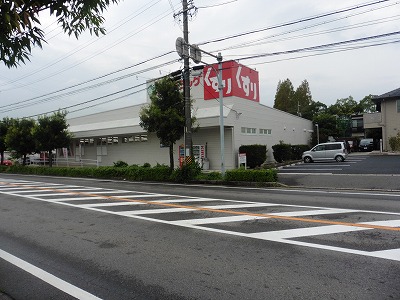 ドラックストア　スギドラッグ 築地店（ドラッグストア）まで482m