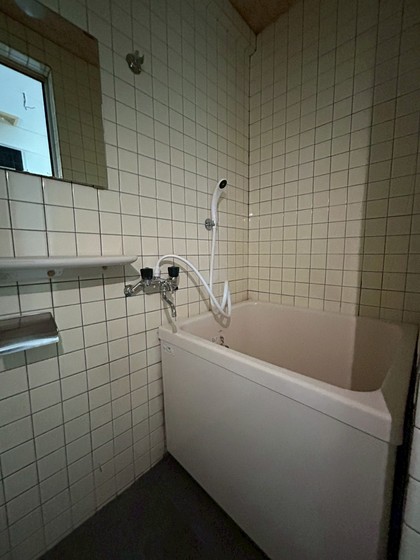 バス・シャワールーム　※別部屋の写真です