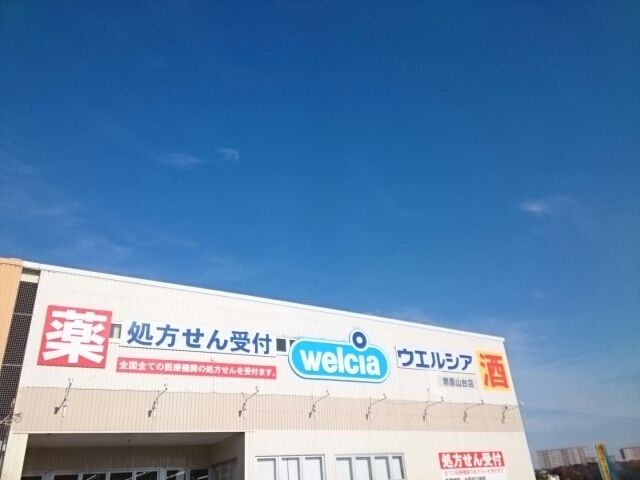 ドラックストア　ウエルシア様（ドラッグストア）まで190m