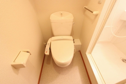 トイレ　写真は別号室のものです。