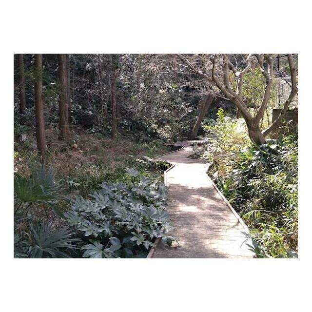 公園　戸塚公園（公園）まで800m