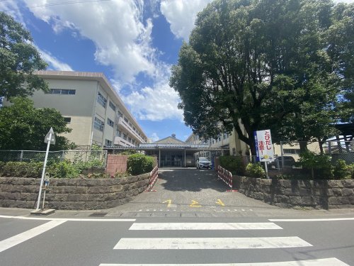 小学校　紫原小学校（小学校）まで730m