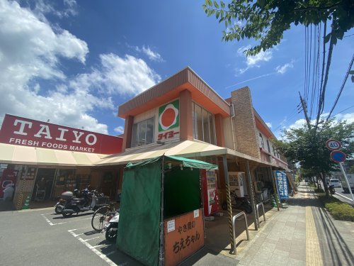 スーパー　タイヨー紫原店（スーパー）まで582m