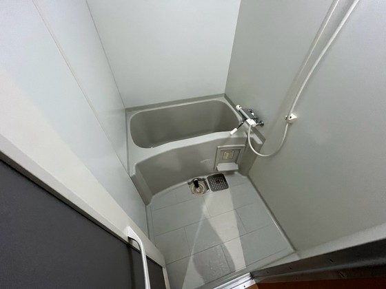 バス・シャワールーム　※別部屋の写真です