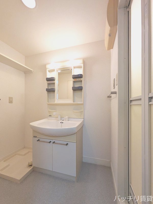 洗面設備　別号室タイプの為、現状を優先いたします
