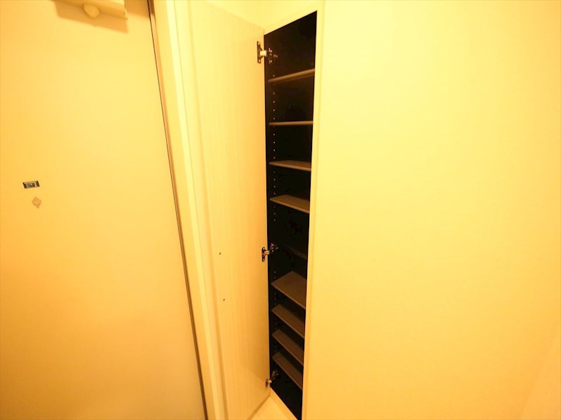 玄関　玄関　シューズボックス付（収納充実してます）　同仕様写真