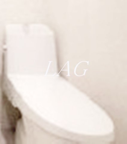 トイレ　トイレです。（同仕様設備です。）