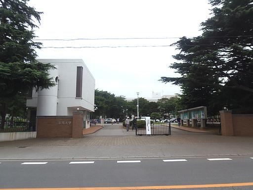 大学・短大　東邦大学習志野キャンパス（大学・短大）まで230m