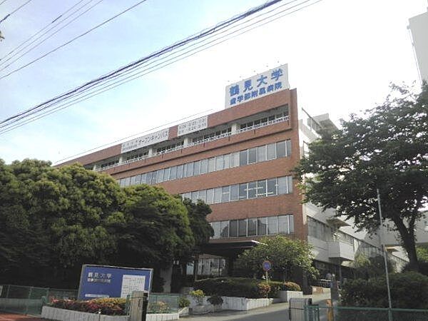 病院　鶴見大学歯学部附属病院（病院）まで684m