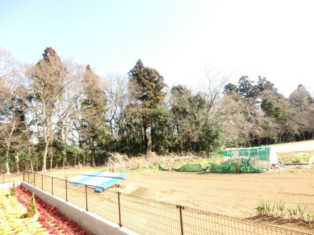 眺望　緑が多い環境です！