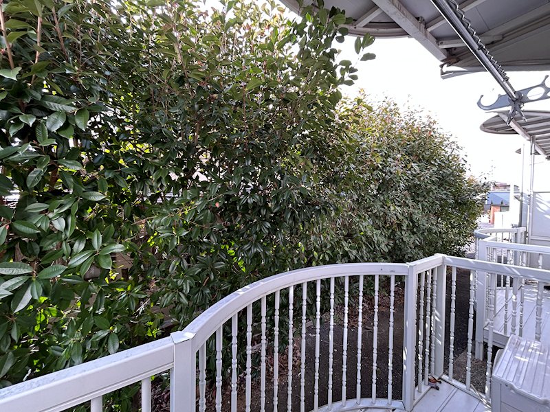 眺望　※写真は別号室です