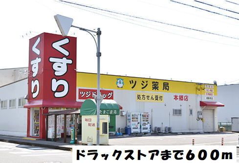 ドラックストア　ツジ薬局（ドラッグストア）まで600m