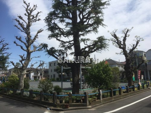 公園　古市場第3公園（公園）まで135m