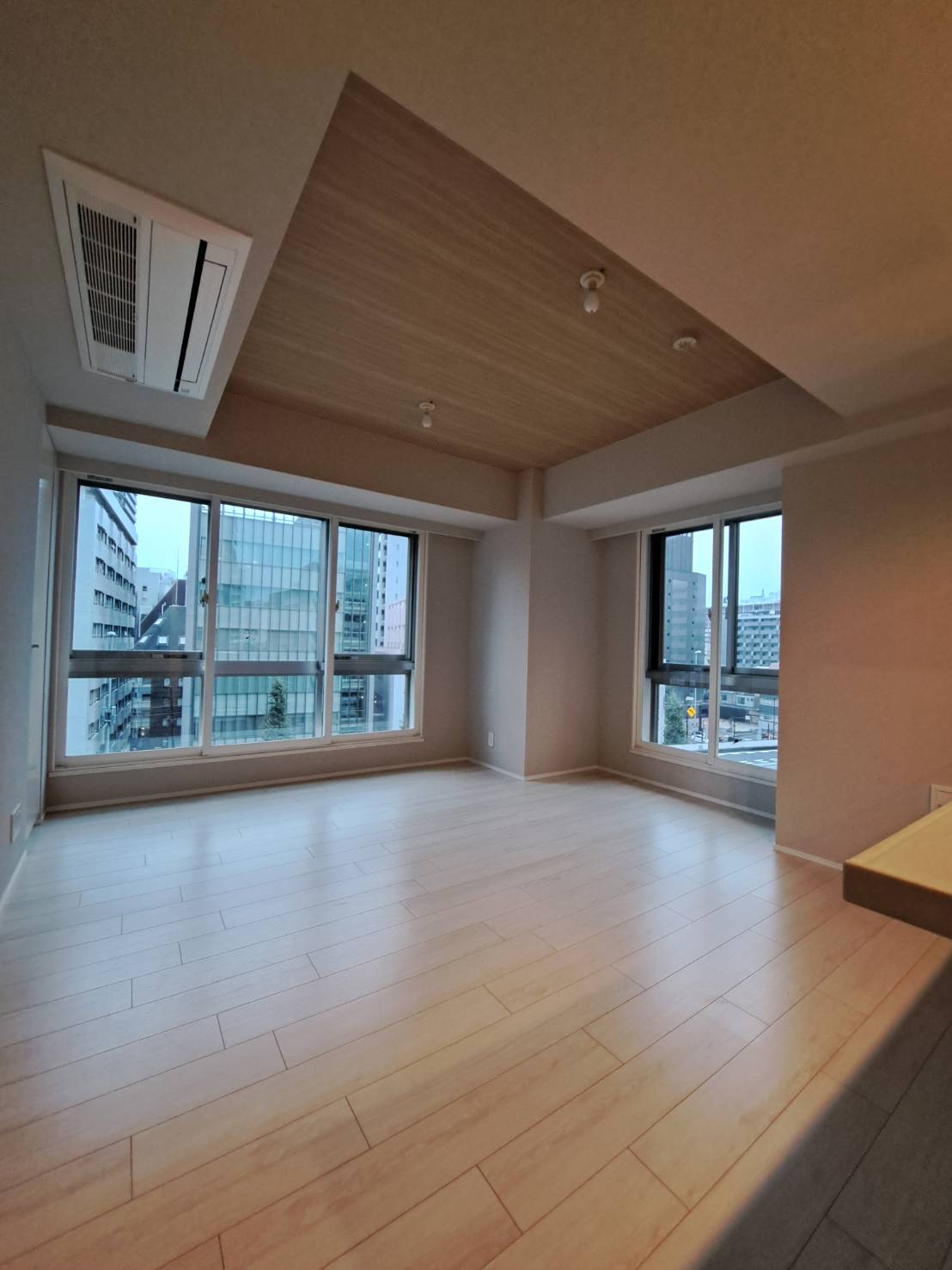 居室・リビング　リノベーション済み