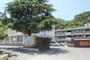 小学校　廿日市市立佐方小学校（小学校）まで550m