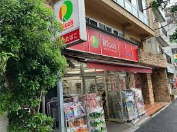 スーパー　スーパーマーケットリコス 雑司が谷2丁目店（スーパー）まで333m