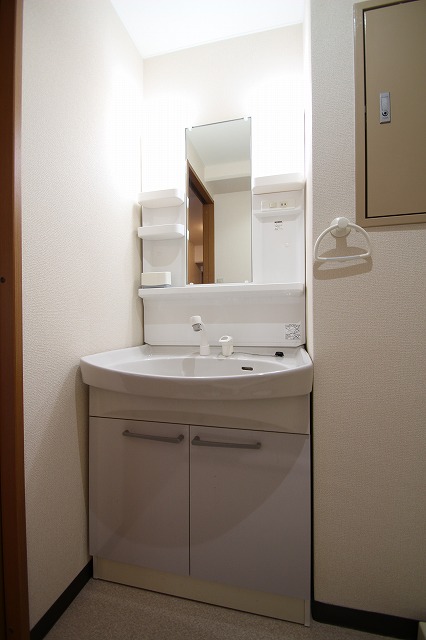 洗面設備　同物件別号室のものです。