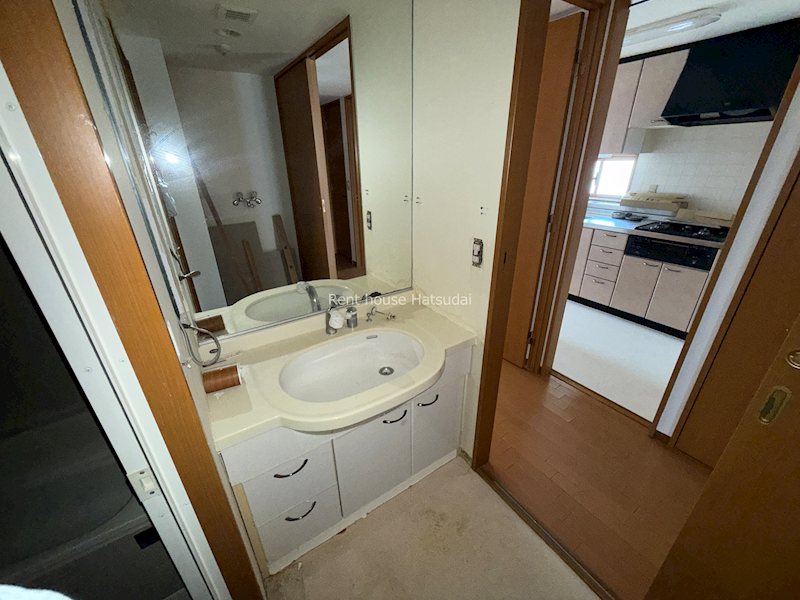 洗面設備　別号室の参考写真となります