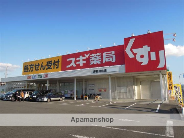 ドラックストア　スギ薬局岸和田北店（ドラッグストア）まで369m