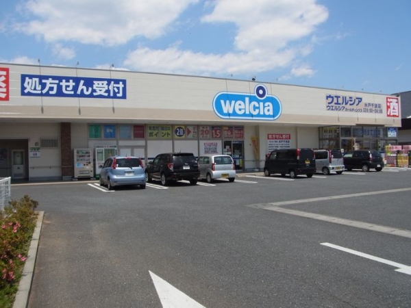 その他　ウェルシア水戸御茶園通り店（その他）まで1250m