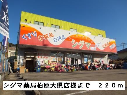 ドラックストア　シグマ薬局柏原大県店様（ドラッグストア）まで220m