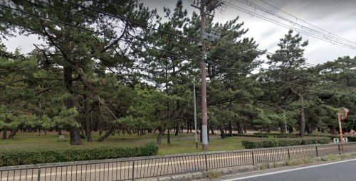 公園　浜の宮公園（公園）まで978m